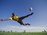 adductor injury treatment